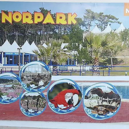 O Pescador Bed & Breakfast *