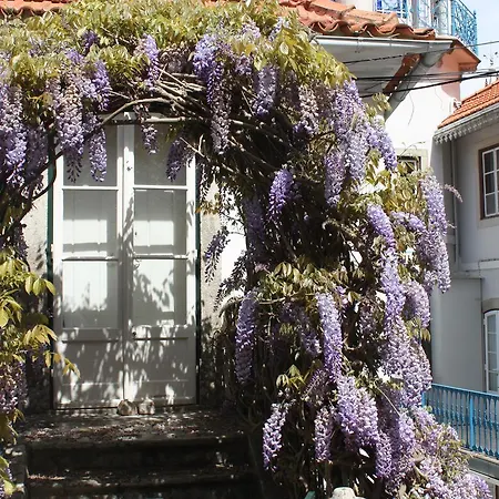 Bed & Breakfast O Pescador